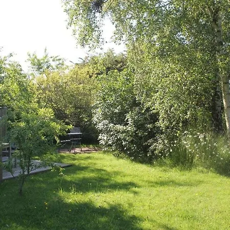 In With Swimming Pool * Nebel